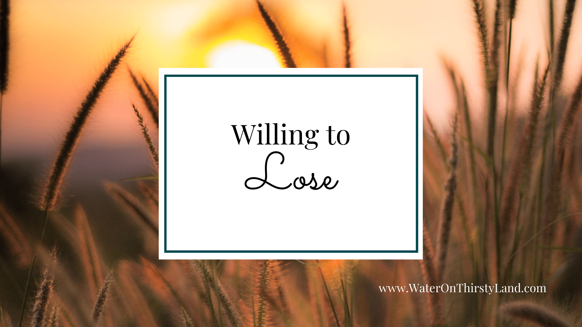Willing to Lose