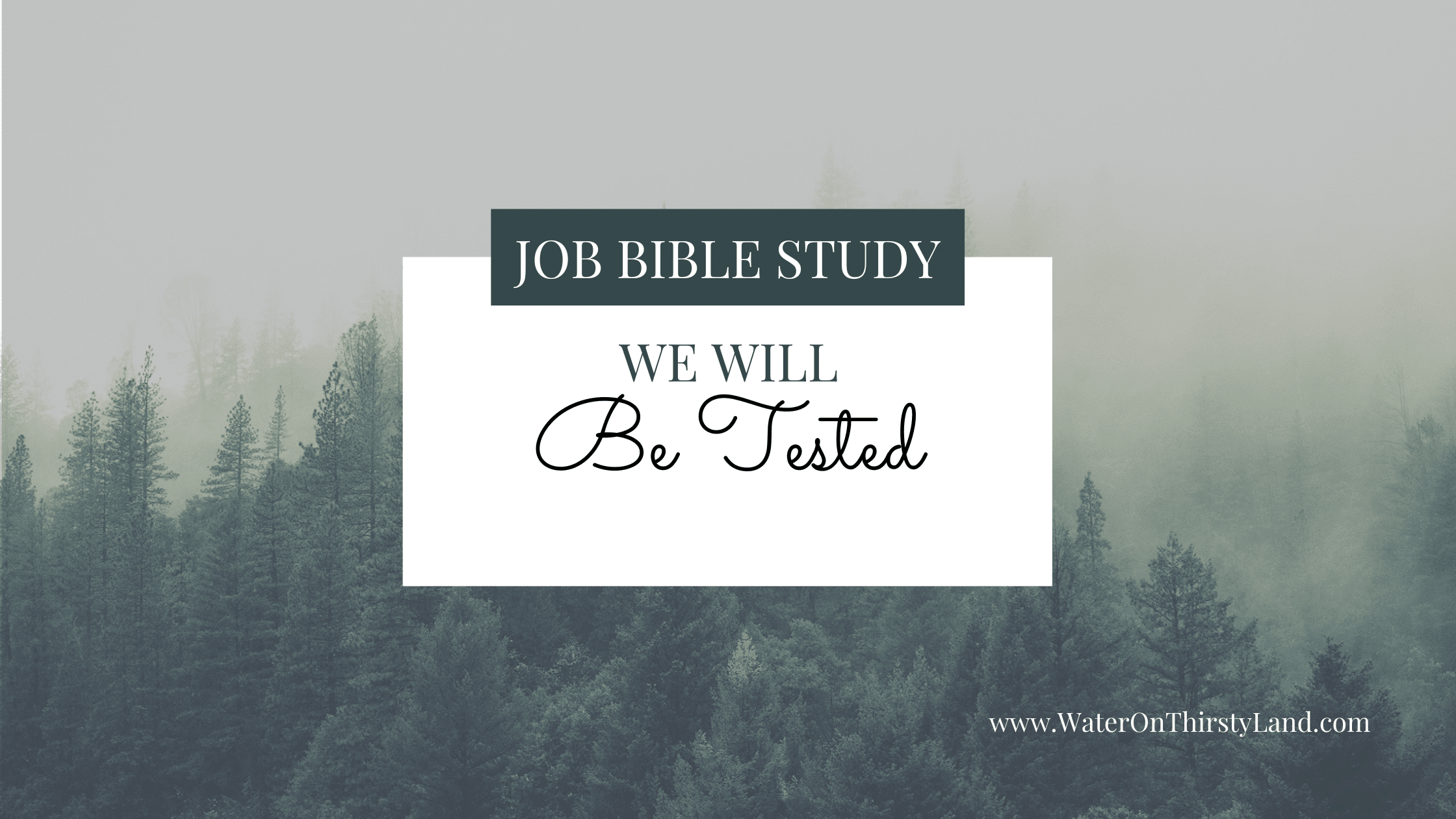 We Will Be Tested | Job Devotional