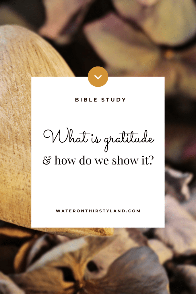 What is gratitude & how do we show it