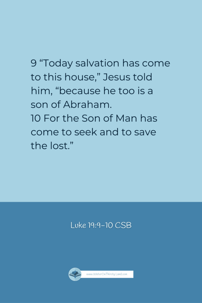 Son of Man Luke 19:9-10