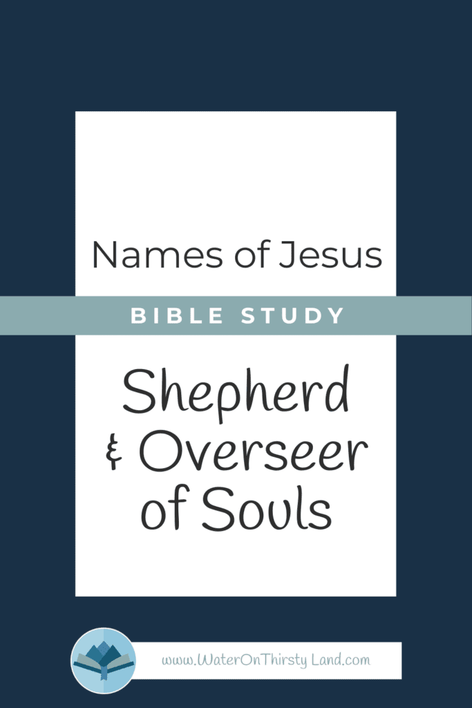 Names of Jesus Shepherd and Overseer of Souls