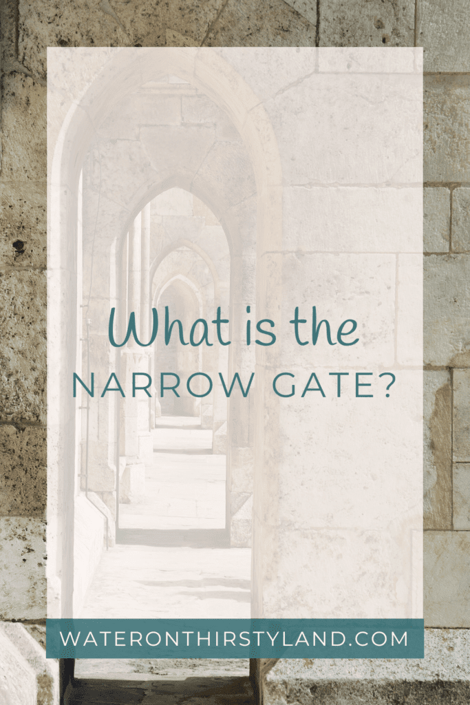 what is the narrow gate
