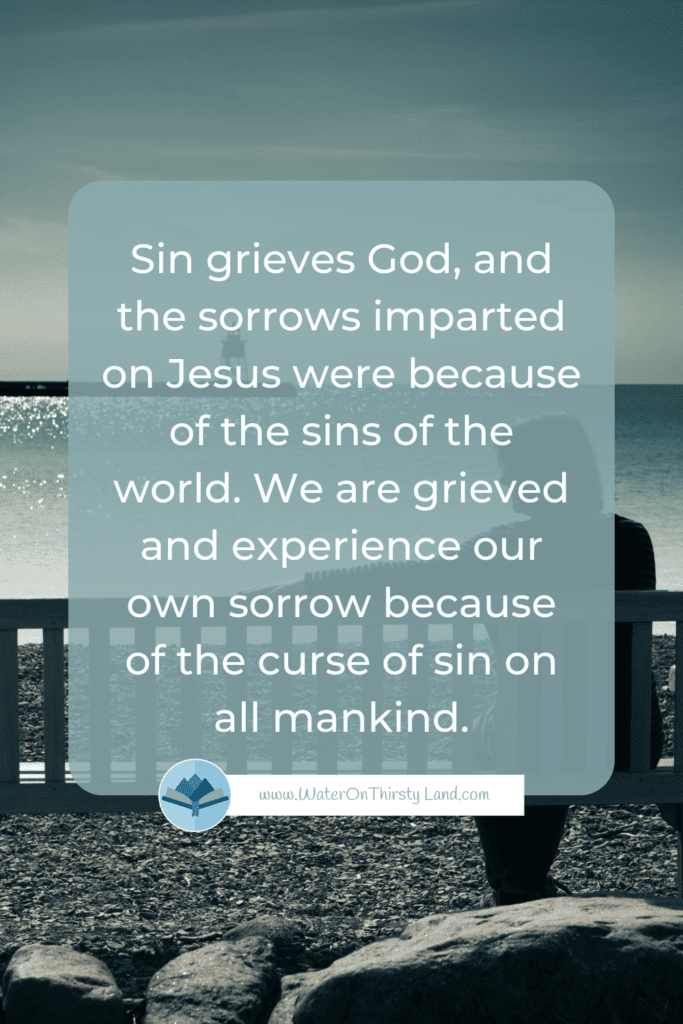 sin leads to sorrow