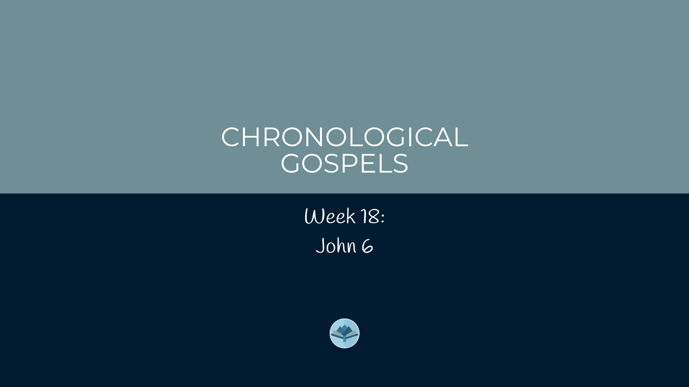 Chronological Gospels: John 6