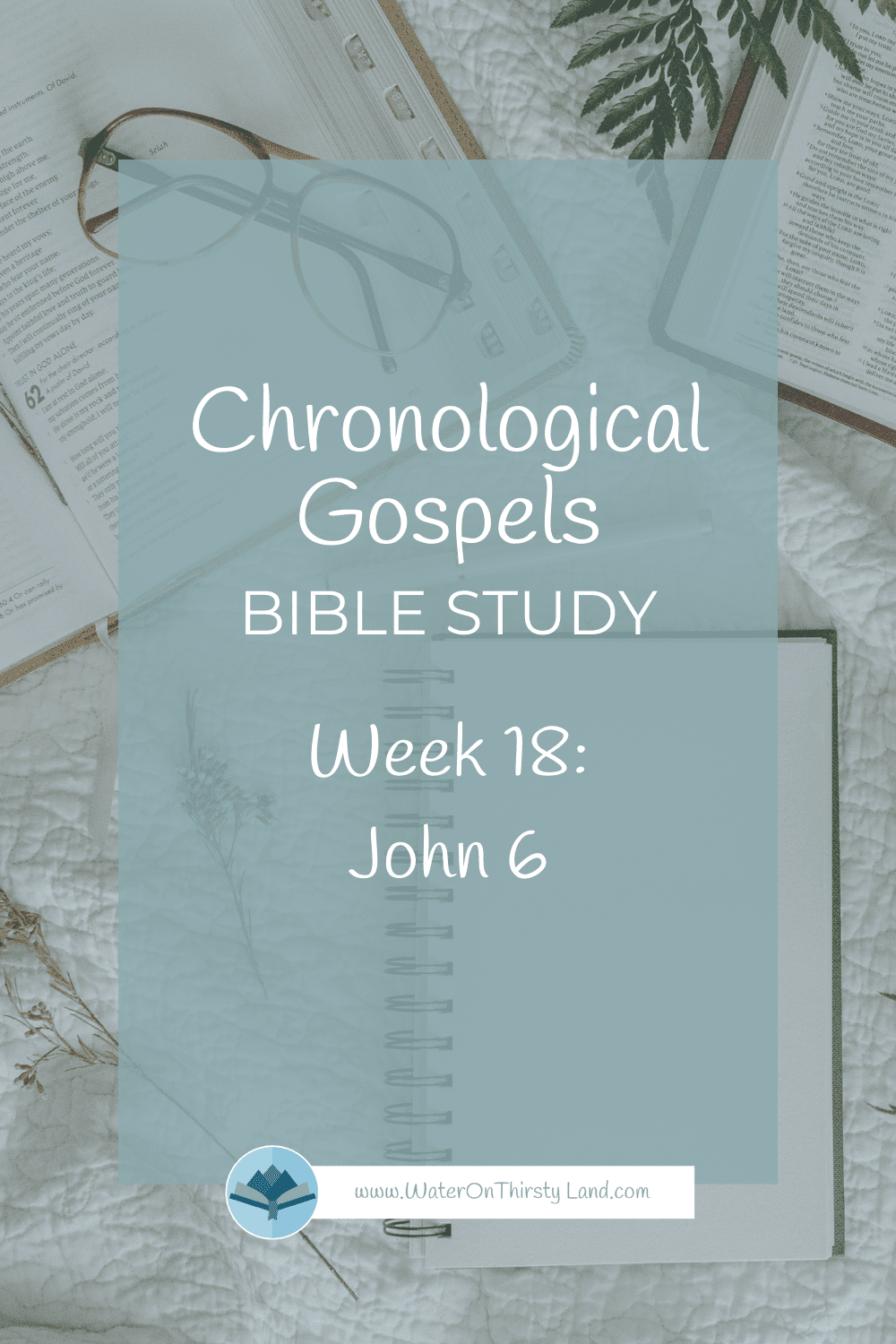 Chronological Gospels Week 18 John 6