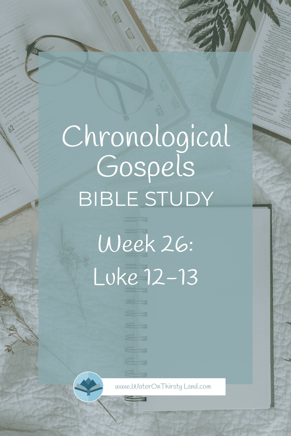 Chronological Gospels: Luke 12-13