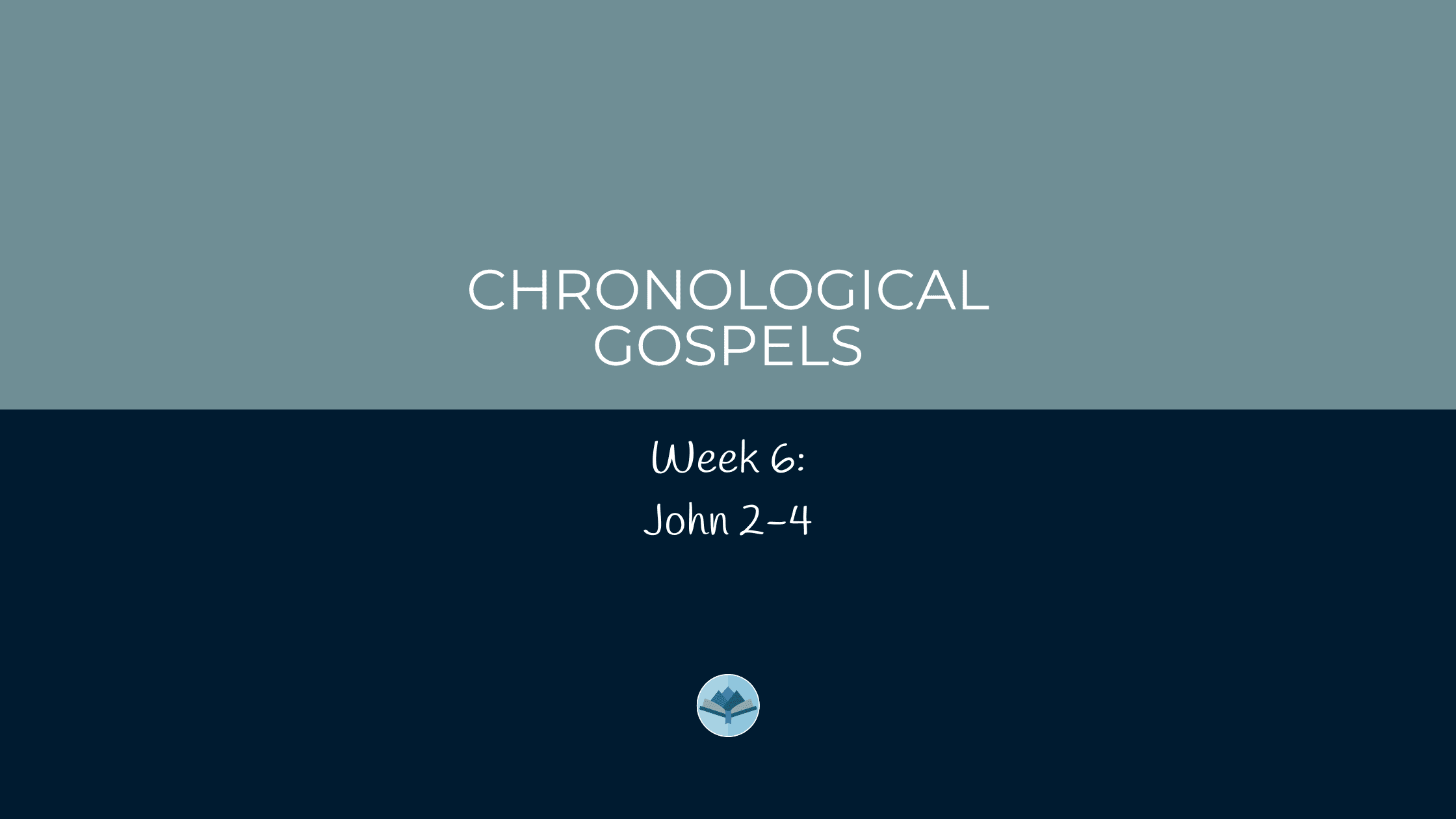 Study with Me Chronological Gospels Week 6 John 2-4