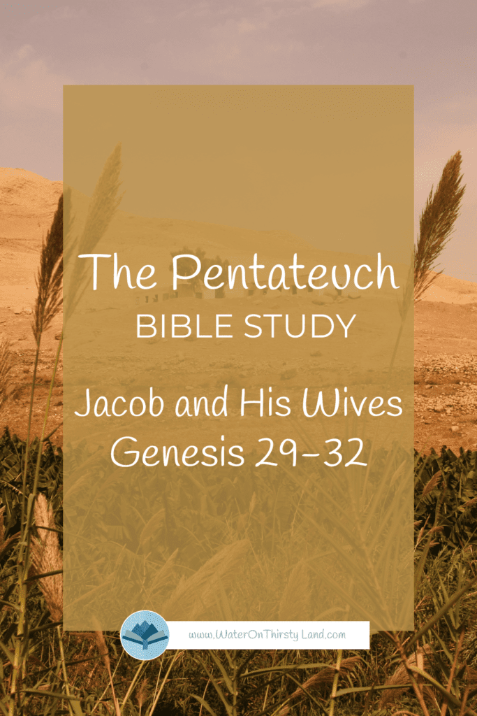 Pentateuch Jacob and His Wives Genesis 29-32