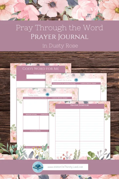 Dusty Rose Prayer Journal CK PIN