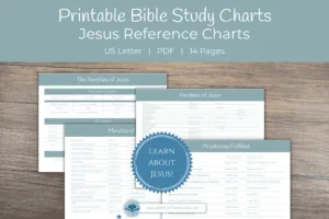 Bible Information Charts - Image 4