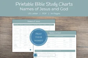 Bible Information Charts - Image 6