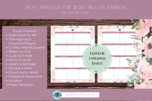 Pray Through the Word - Dusty Rose - Image 9