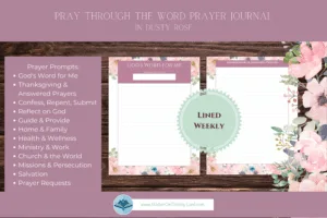 Pray Through the Word - Dusty Rose - Image 4