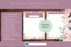 Pray Through the Word - Dusty Rose - Image 6