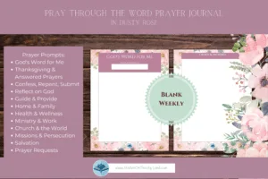 Pray Through the Word - Dusty Rose - Image 5