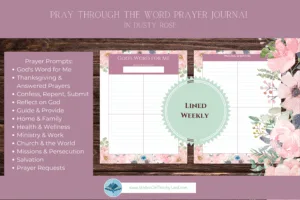 Pray Through the Word - Dusty Rose - Image 3