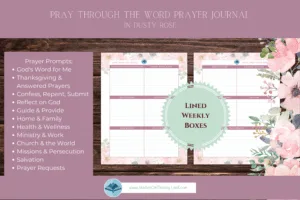 Pray Through the Word - Dusty Rose - Image 7