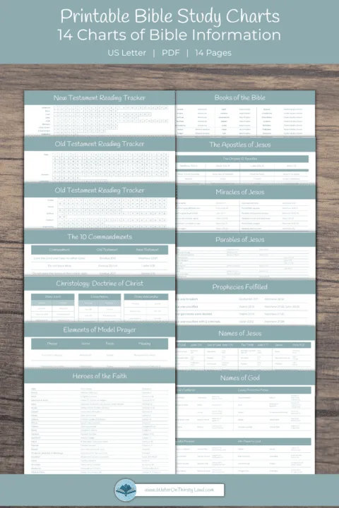 Printable Bible Study Charts PIN