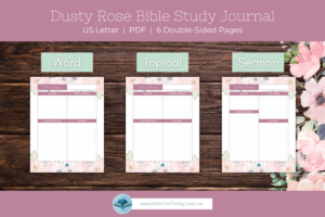 Dusty Rose Bible Study Journal