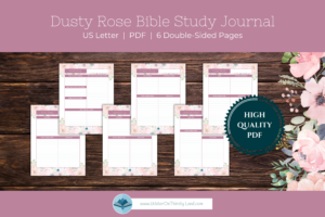 Dusty Rose Bible Study Journal