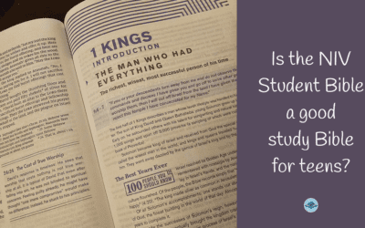 Is the NIV Student Bible a good study Bible for youth?