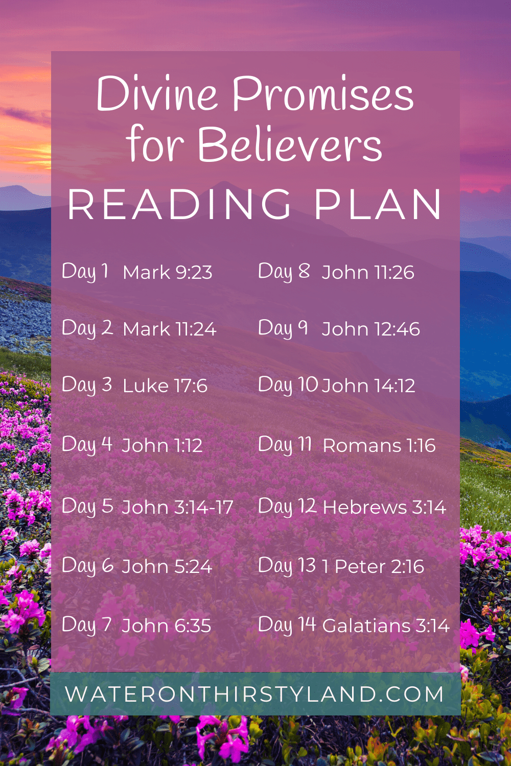 Divine Promises for Believers Reading Plan