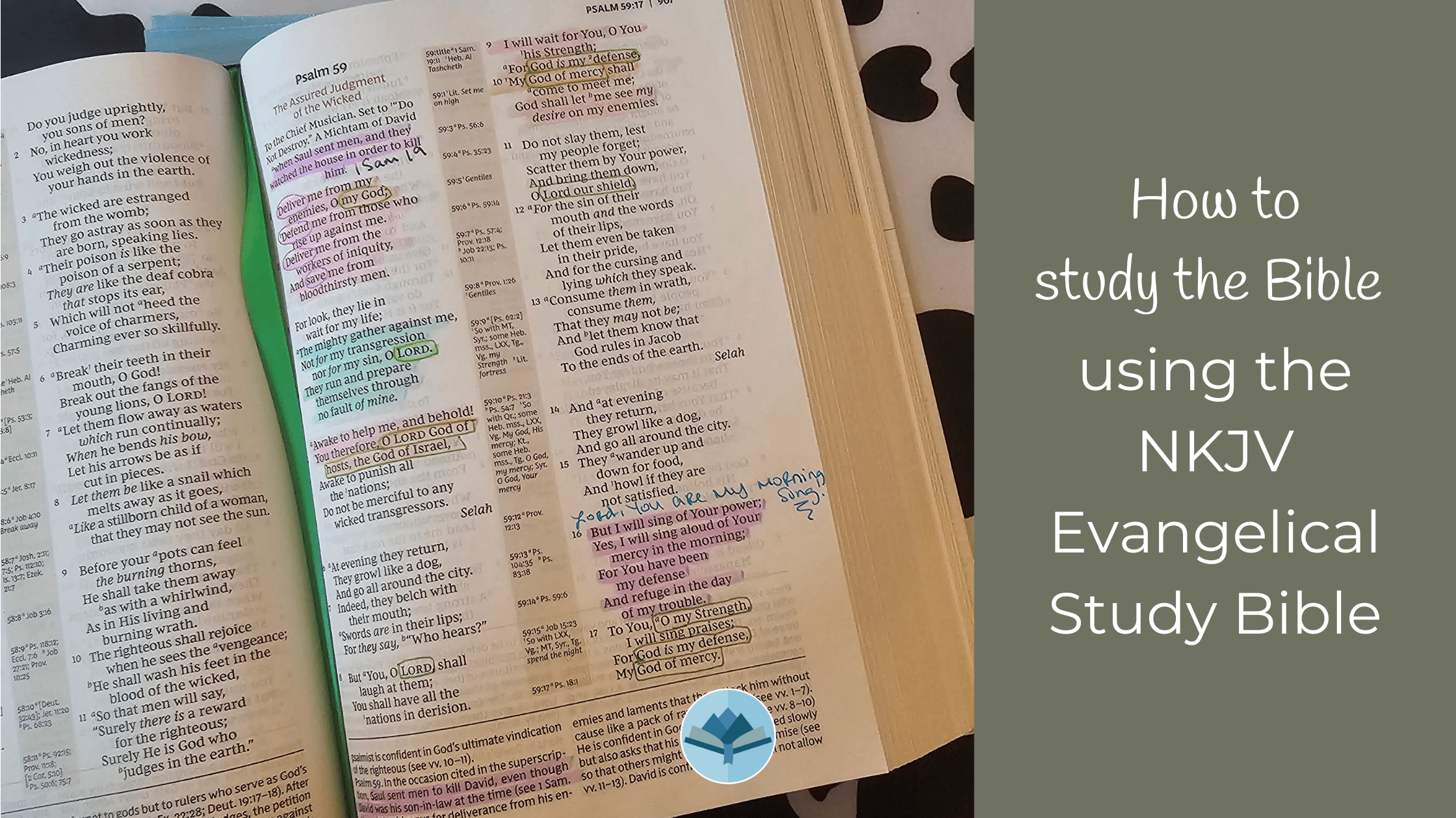 How to study the Bible using the Evangelical Study Bible