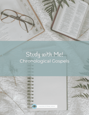 Study with Me Chronological gospels cover