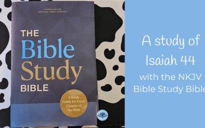 A Study of Isaiah 44 with the NKJV Bible Study Bible