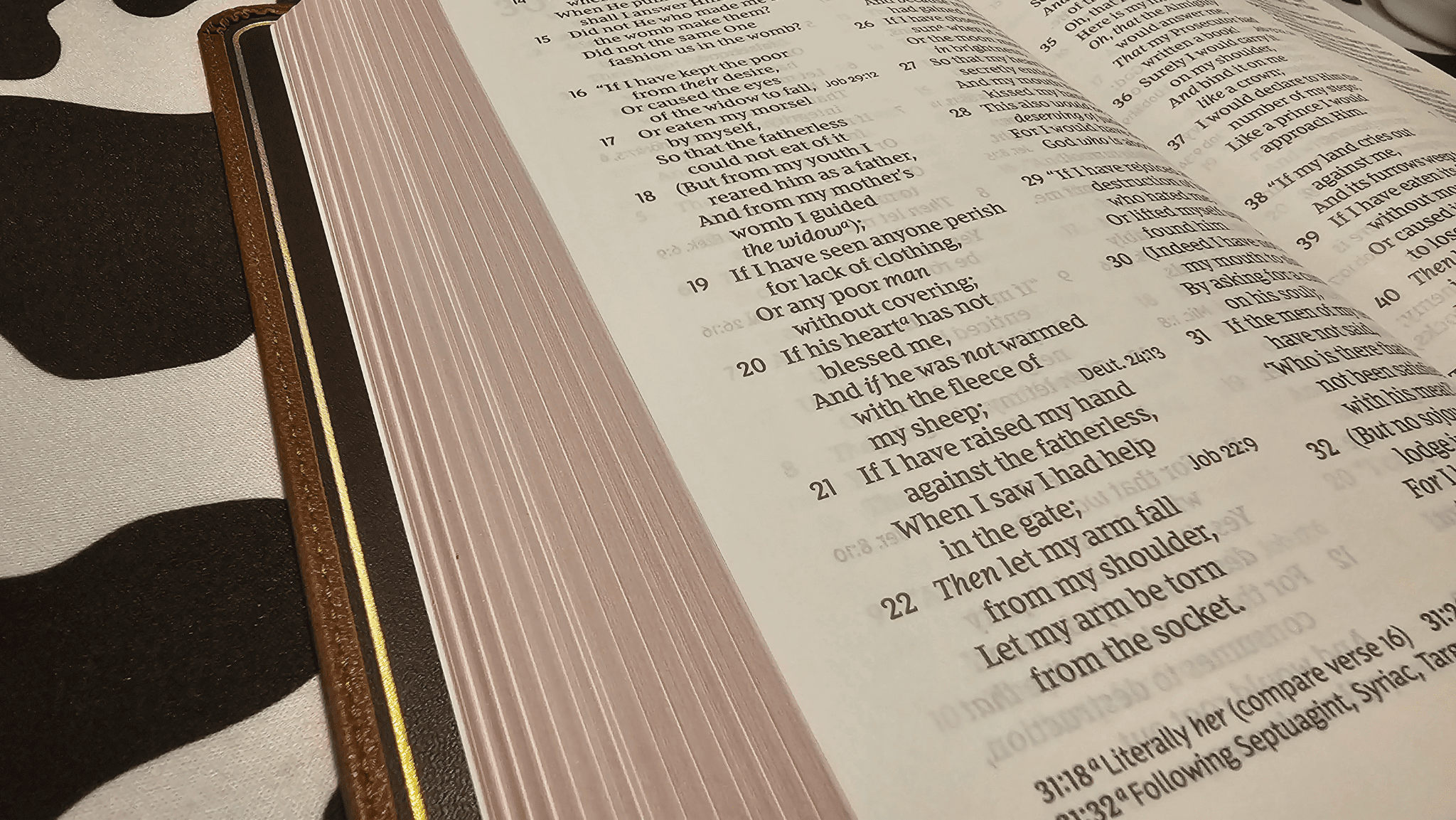 NKJV End-of-Verse Reference Bible Premier Collection