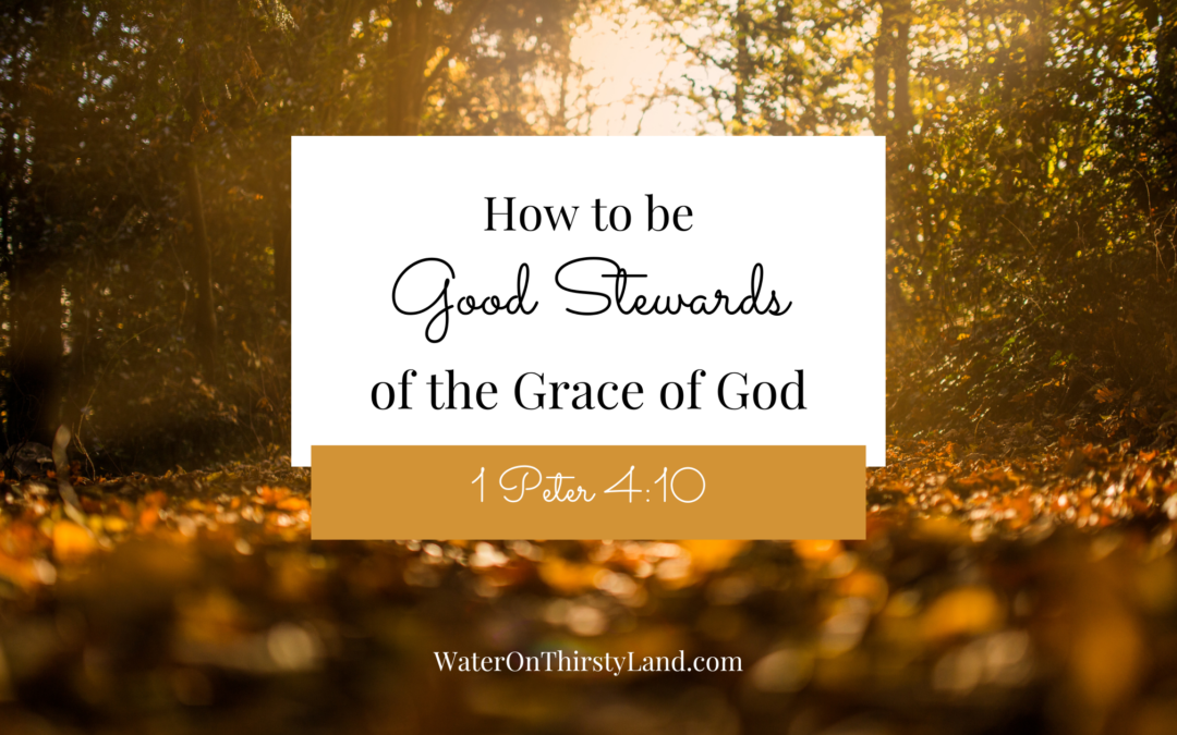 How to be Good Stewards of the Grace of God