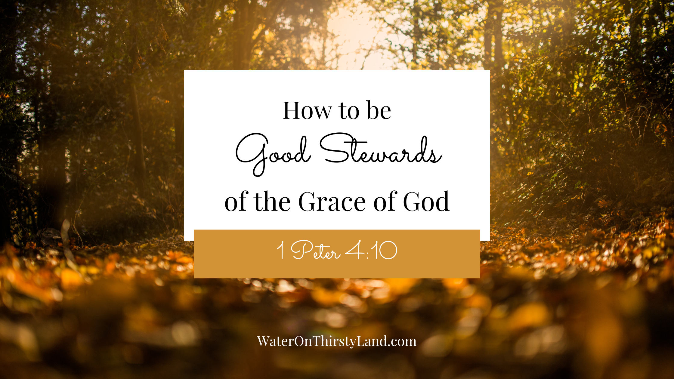 How to be Good Stewards of the Grace of God