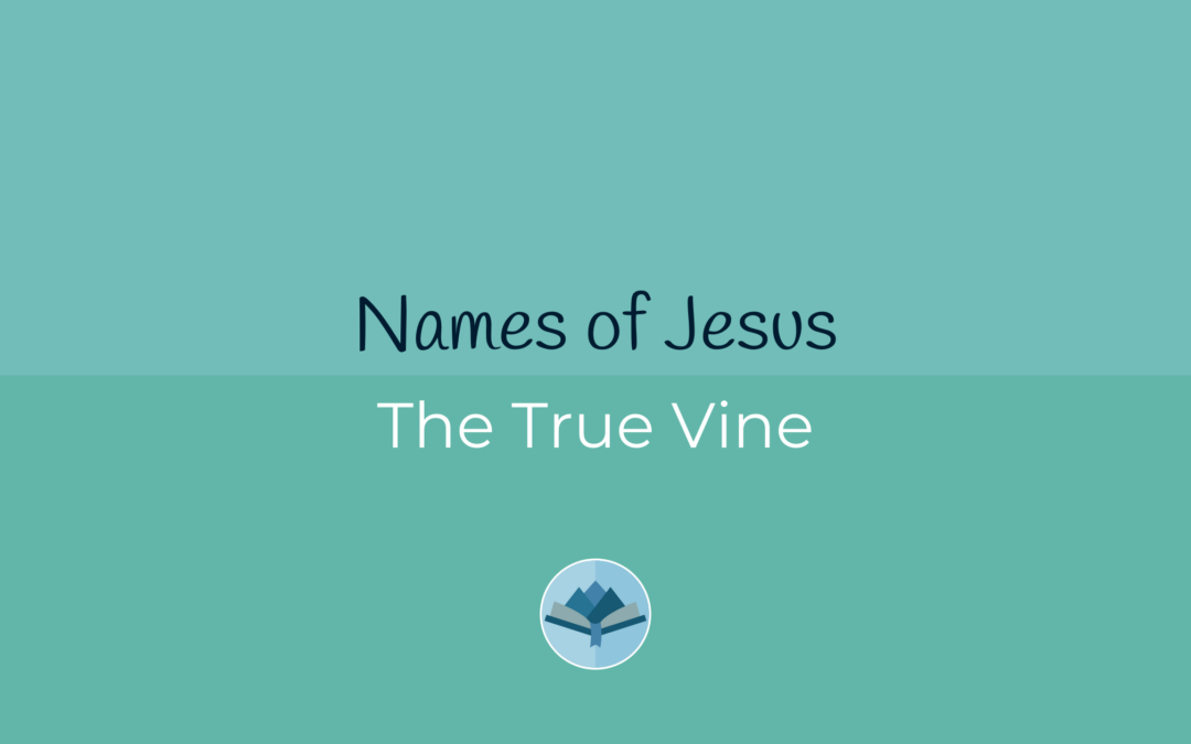 Names of Jesus: The True Vine