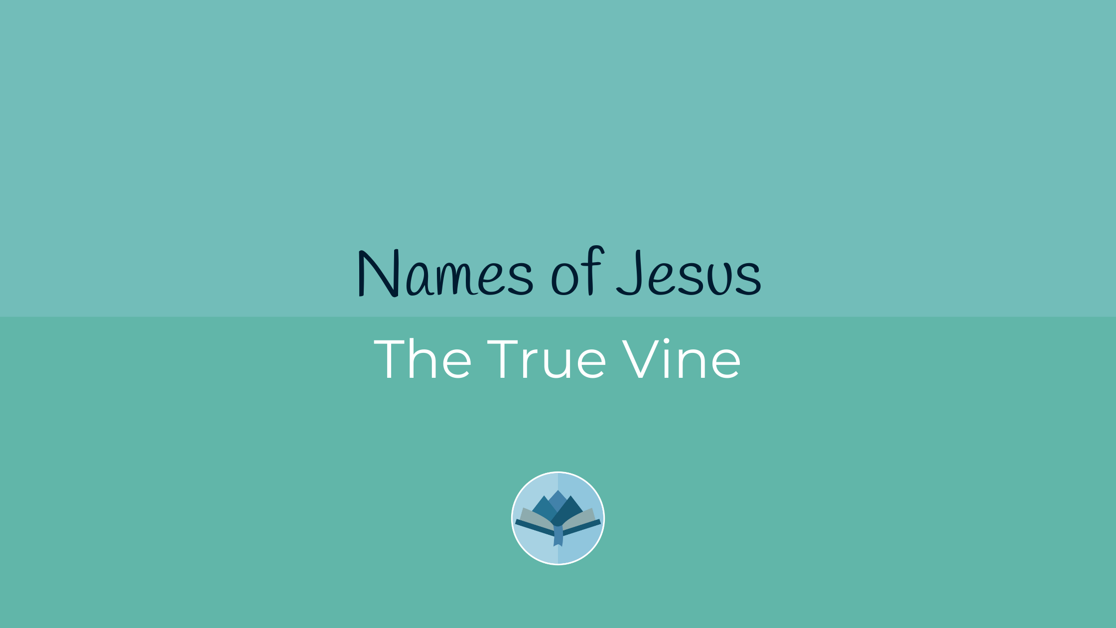 Names of Jesus The True Vine