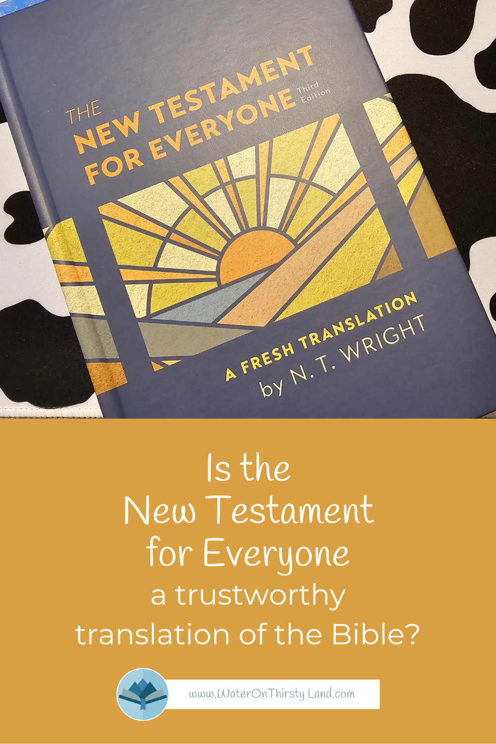 New Testament for Everyone Pin