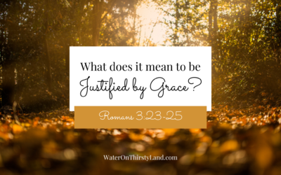 What does it mean to be justified by grace?