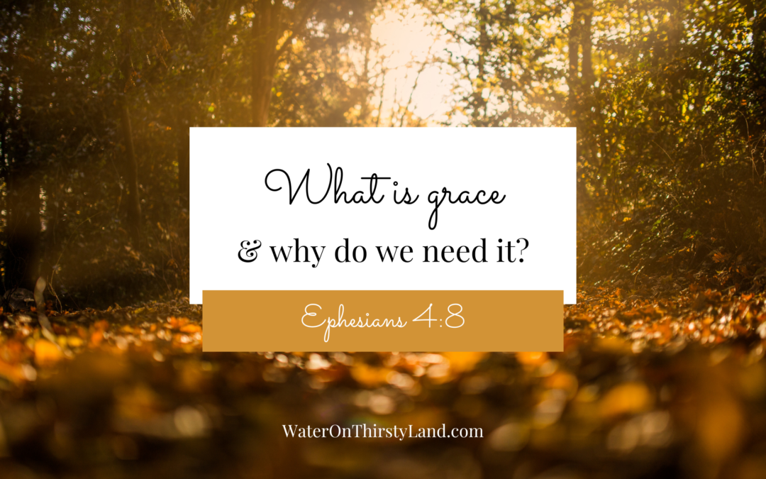 What is grace & why do we need it?