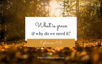 What is grace and why do we need it?