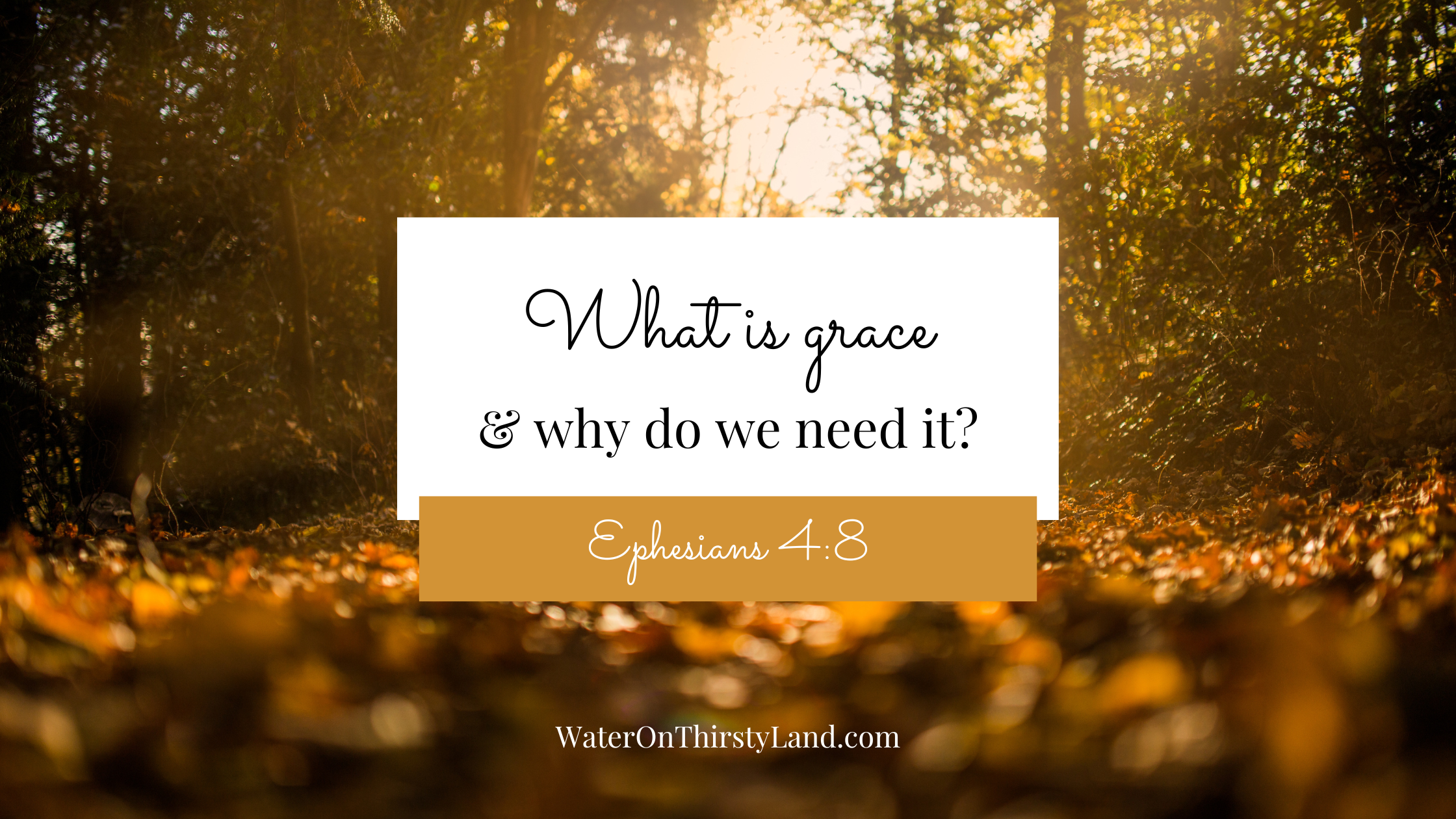 What is grace & why do we need it?