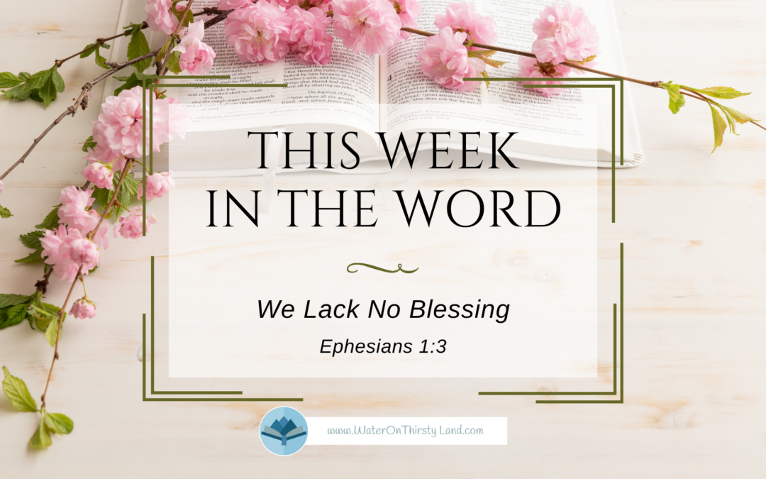 We Lack No Blessing Ephesians 1:3 Devotional