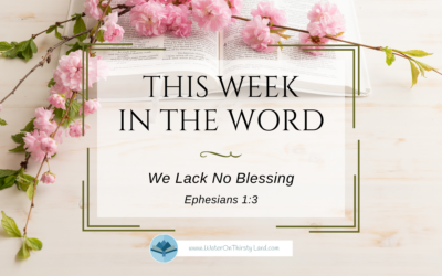 We Lack No Blessing: Ephesians 1:3