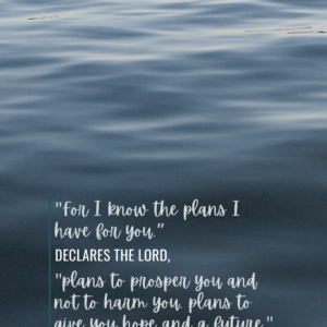 Jeremiah 29:11 (Phone Wallpaper)