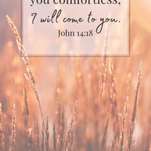 John 14:18 Wallpapers