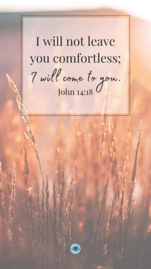 John 14:18 Wallpapers