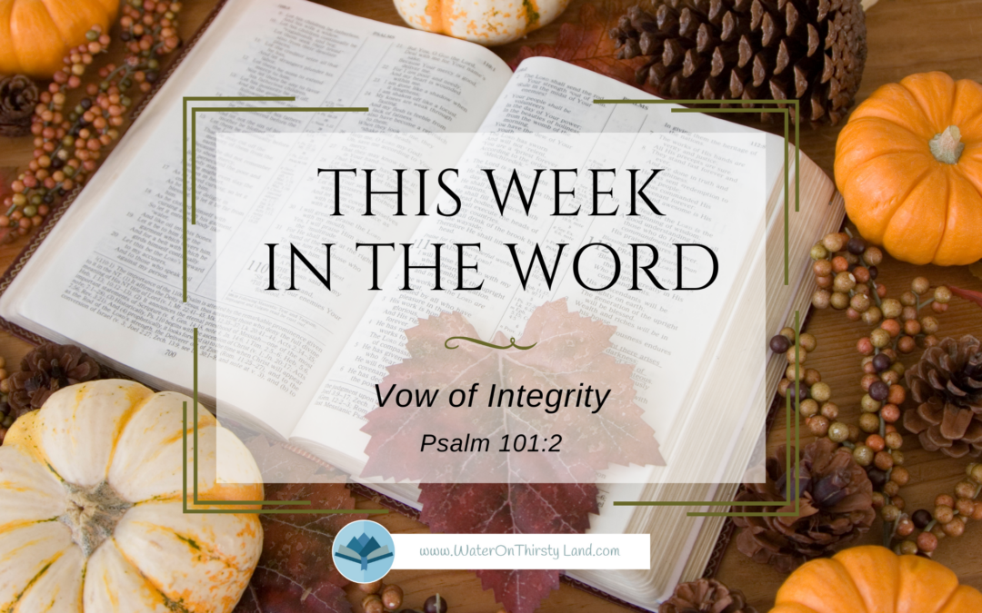 Vow of Integrity Psalm 101:2