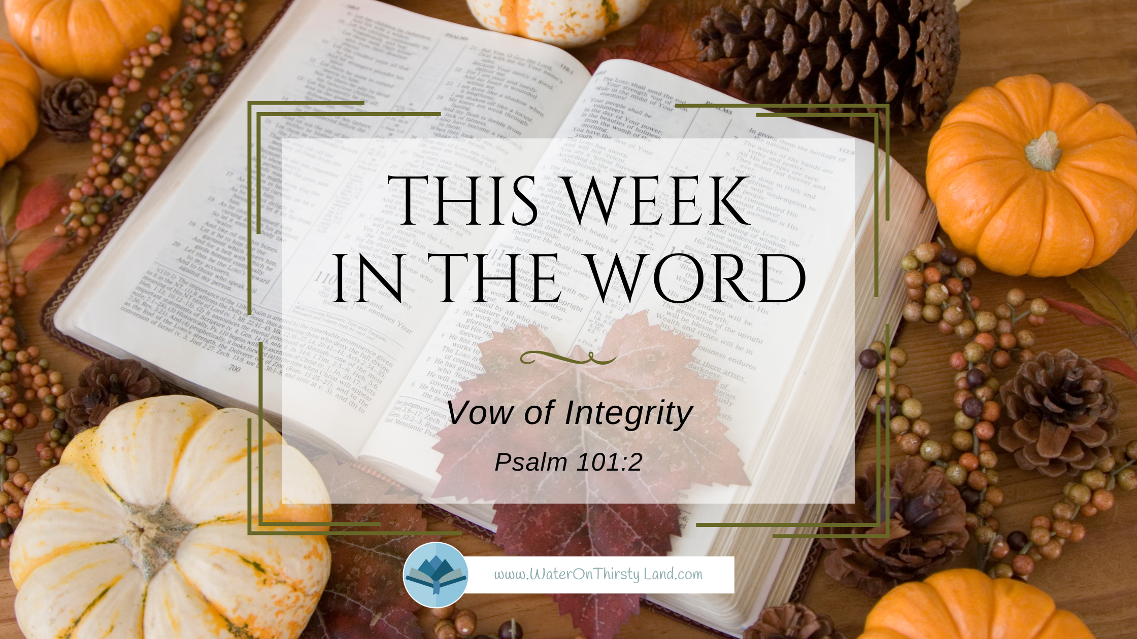 Vow of Integrity Psalm 101:2